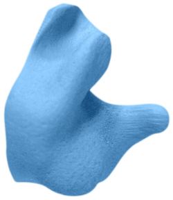 Blue Ear Plugs (Custom Molded)
